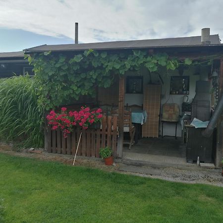 Dvougeneracni Dum Se Zahradou Lägenhet Vimperk Exteriör bild